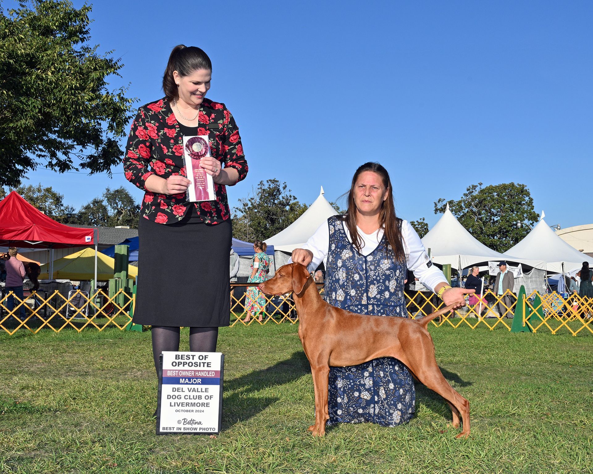 A woman is kneeling next to a dog holding a ribbon.