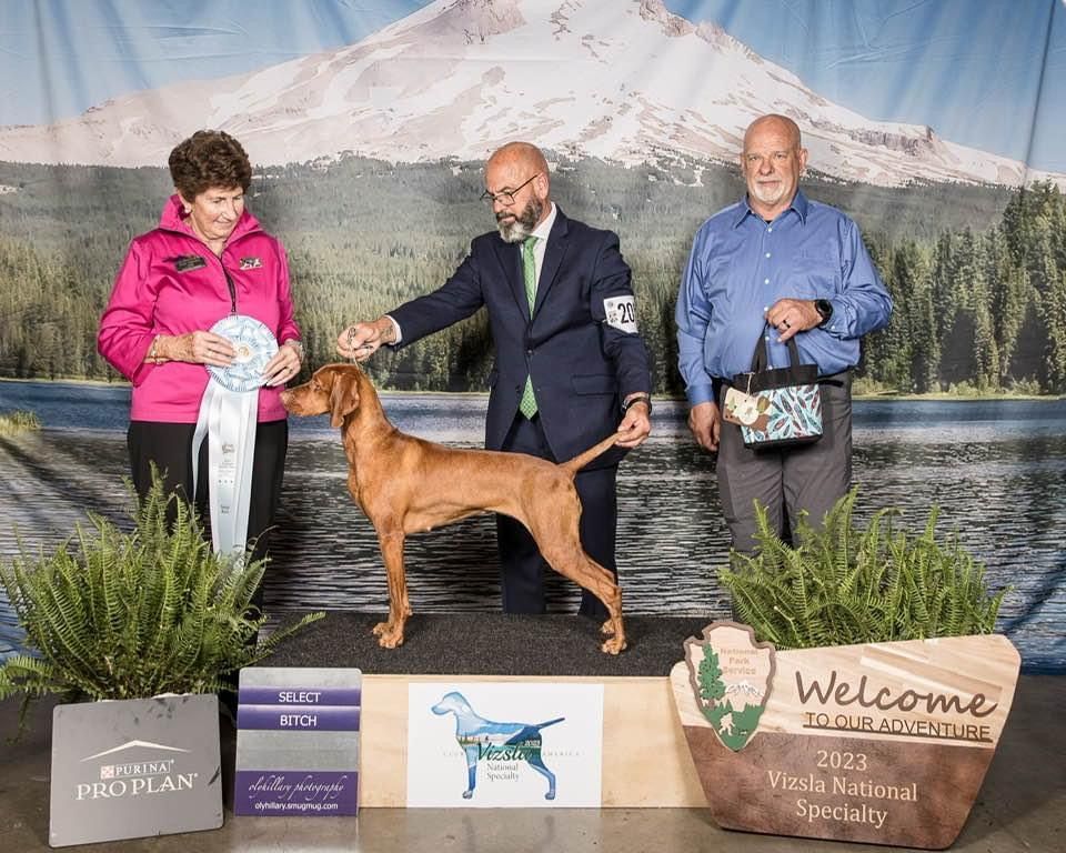 A man and woman are standing next to a dog on a podium at a dog show.