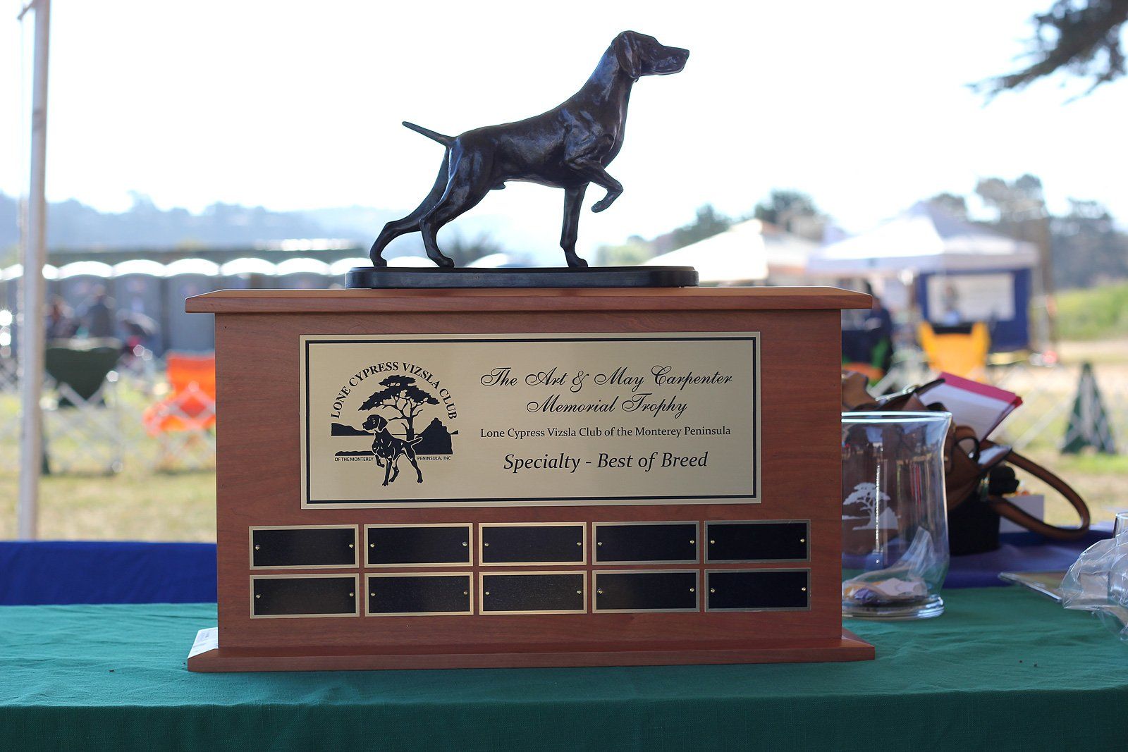 A trophy with a statue of a dog on top of it