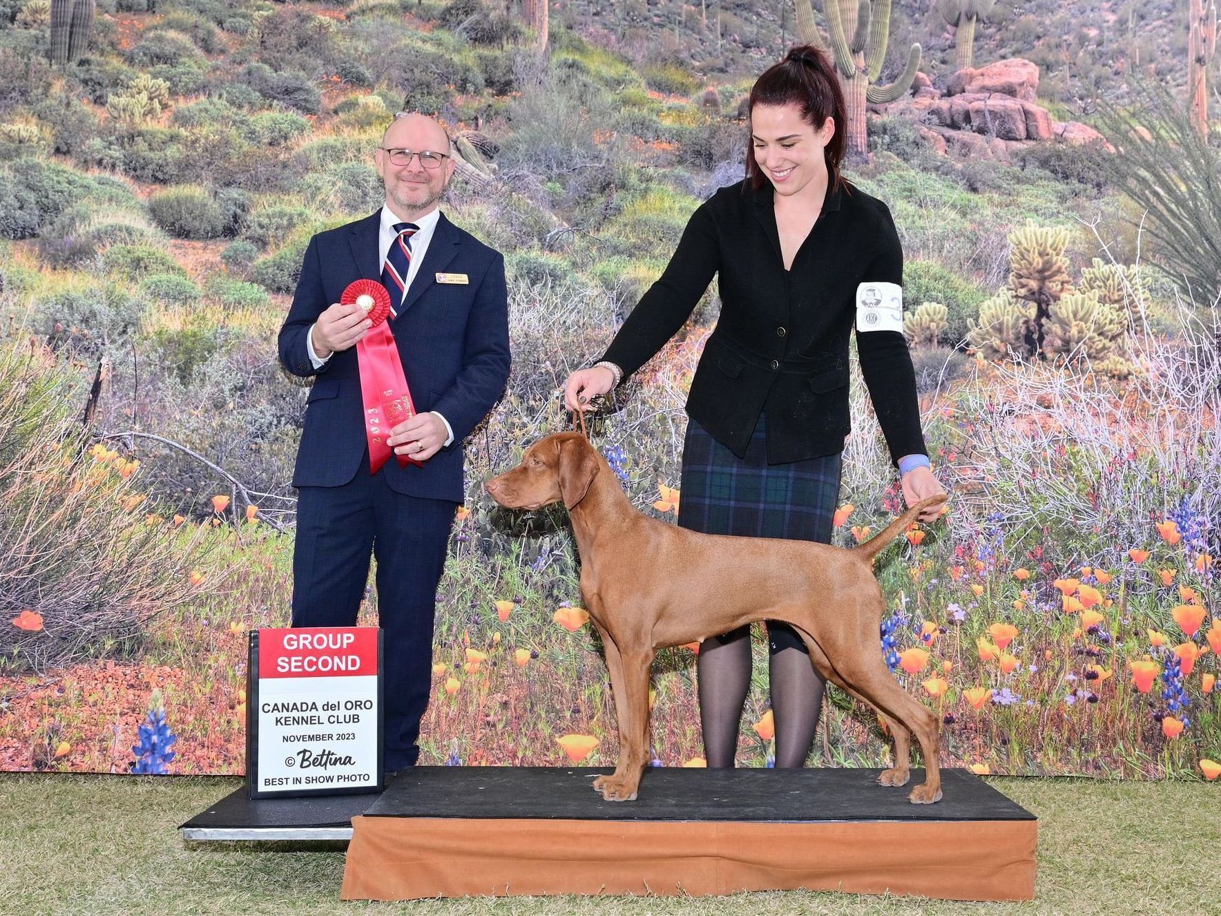 A woman is standing next to a dog on a podium at a dog show.