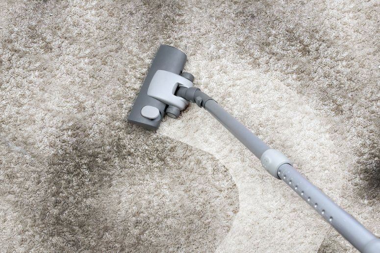 Grey Vacuum Head and Handle in Use — Les's Eco Carpet Cleaning in Byron Bay, NSW