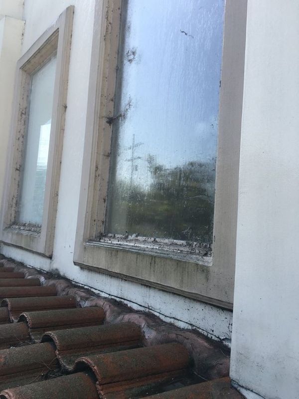 There are two windows on the side of a building.