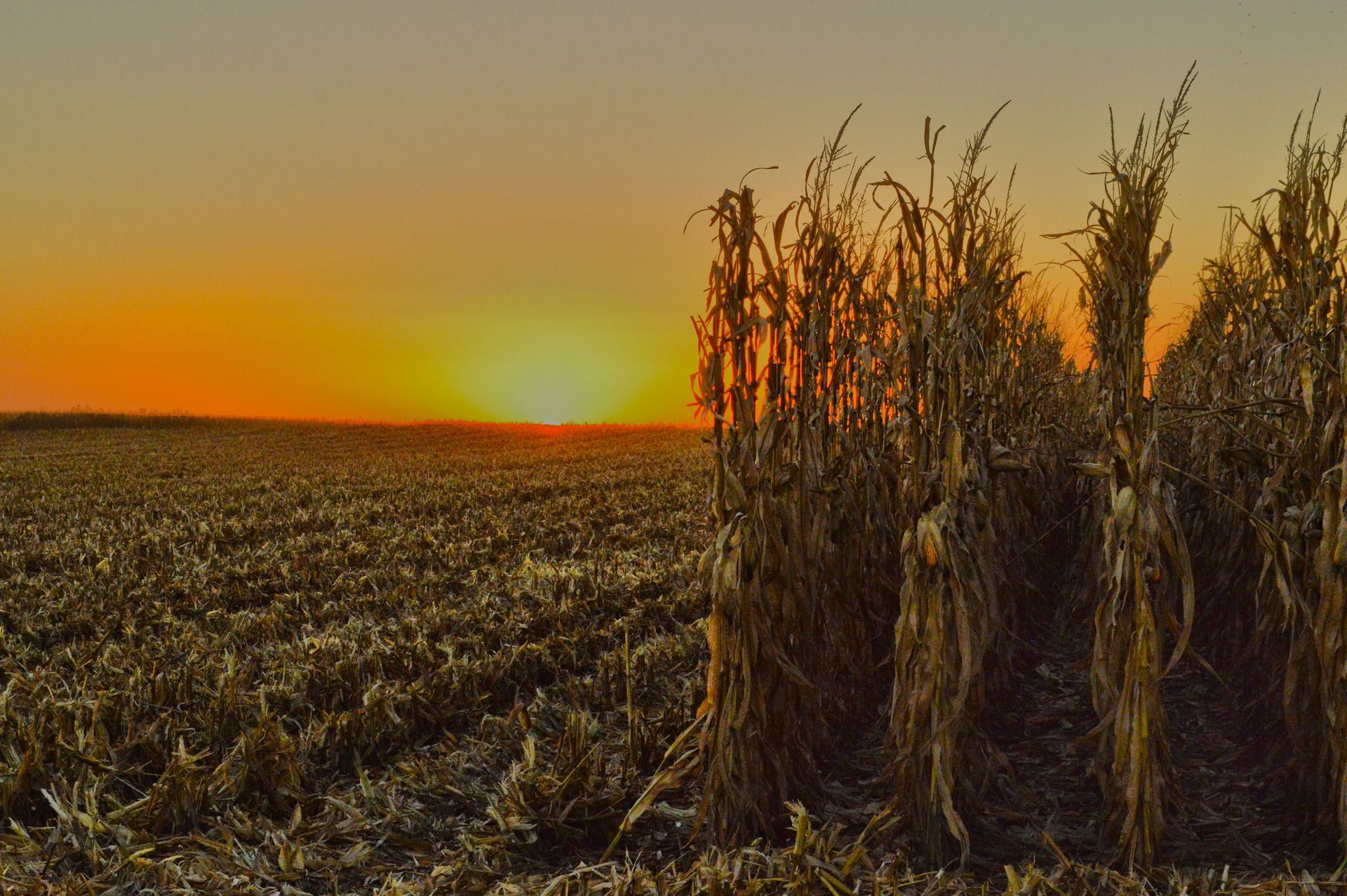 A man , woman and child are hugging each other and smiling.