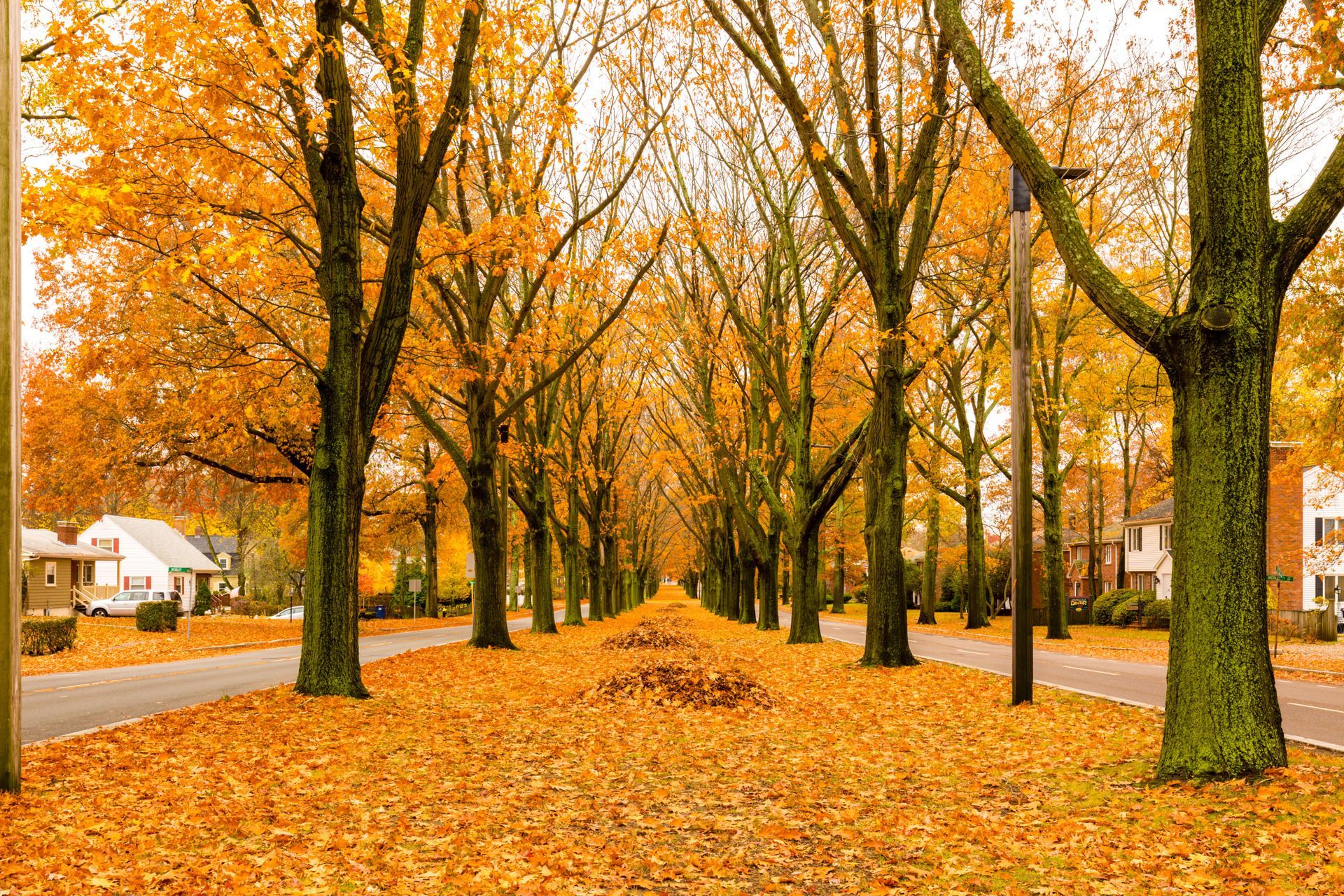 A man and a woman are sitting on a couch looking at a laptop computer.