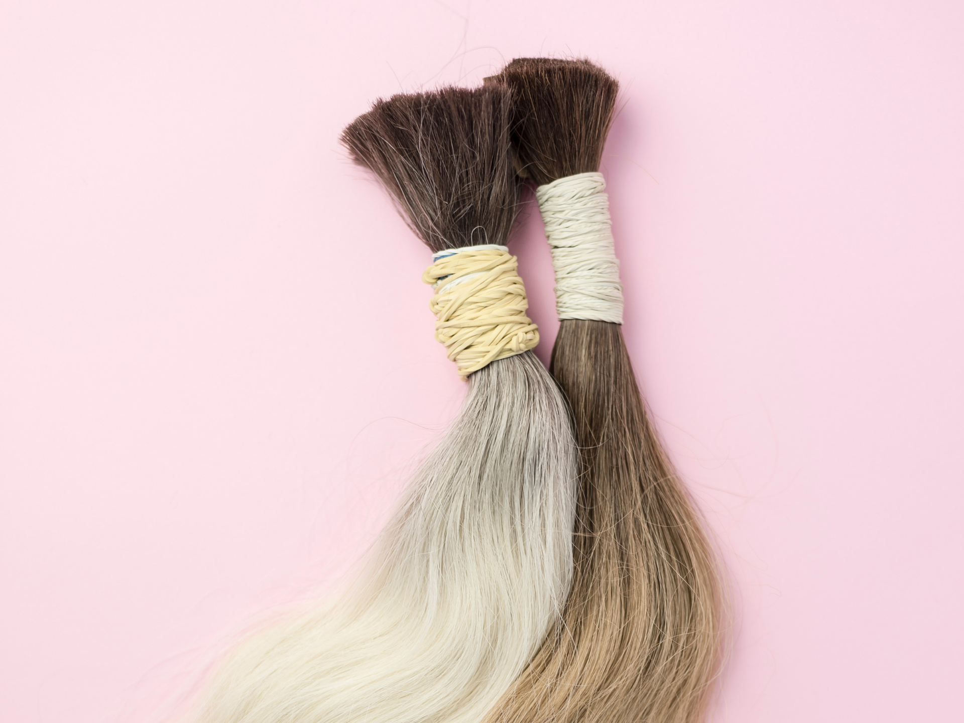 Two bundles of hair, brown and grey, tied with elastic on a pink background.
