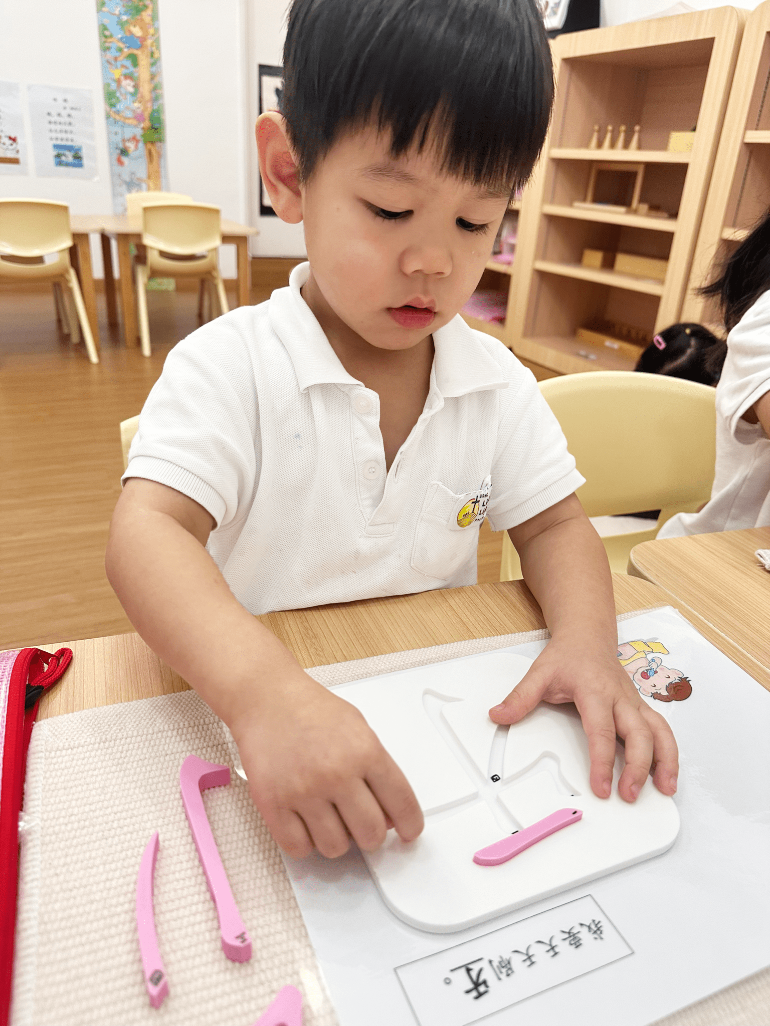 Inquiry and Montessori Method
