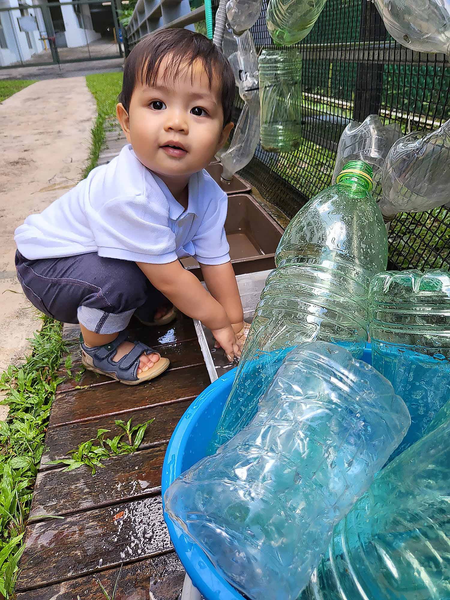 IB PYP or Montessori Curriculum