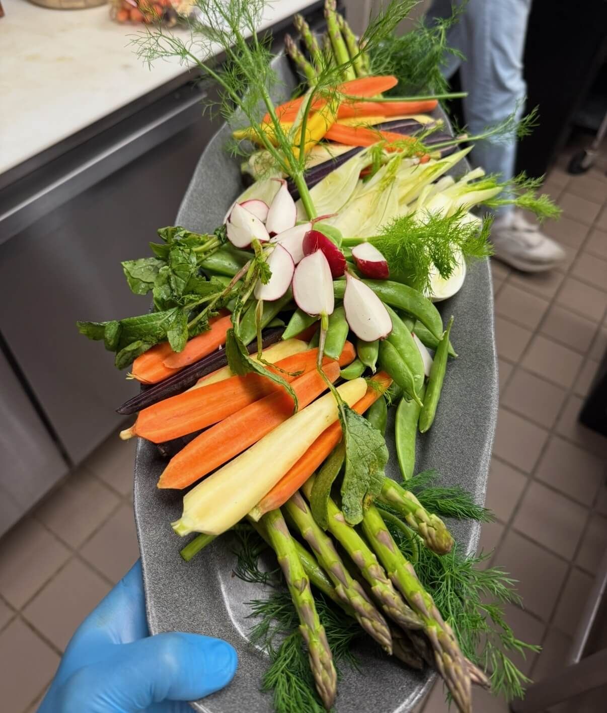 A person wearing blue gloves is holding a plate of vegetables.