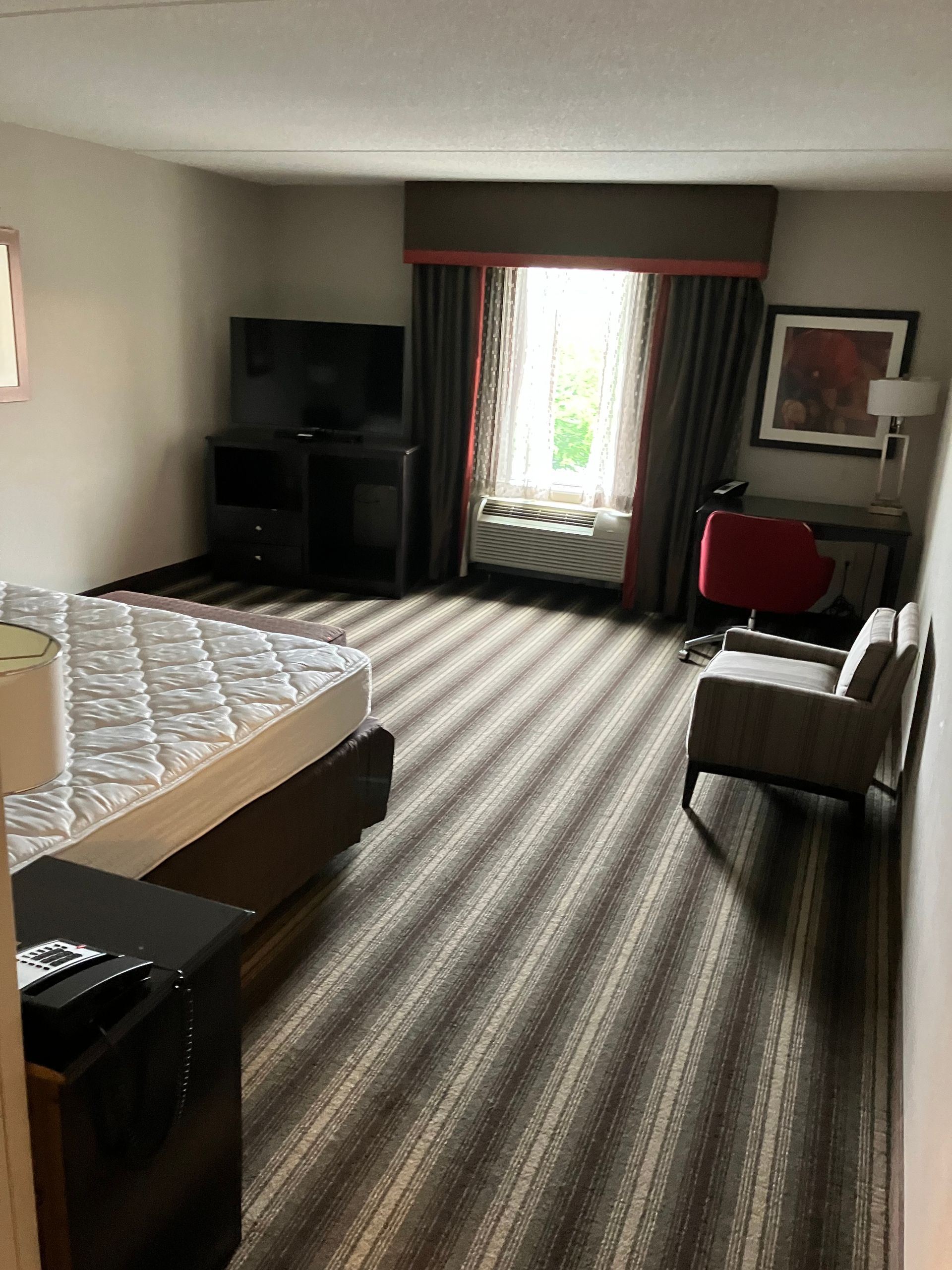 Empty room with gray striped accent wall, gray carpet, and white ceiling.