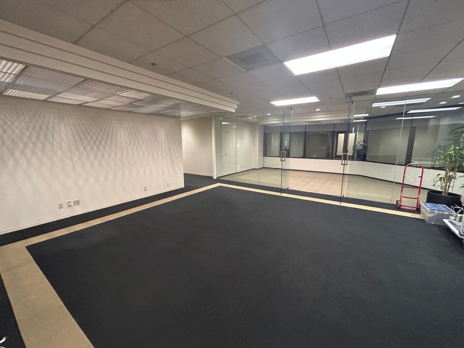 Empty room with gray striped accent wall, gray carpet, and white ceiling.