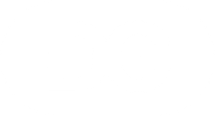 DG Logo in white