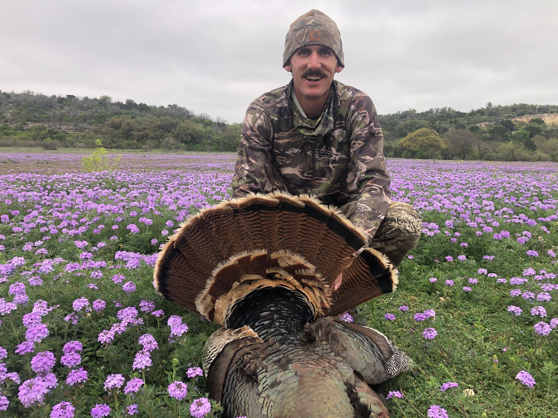 Man kneels in a field of purple flowers, holding a dead turkey with its tail feathers fanned out. Overcast day.