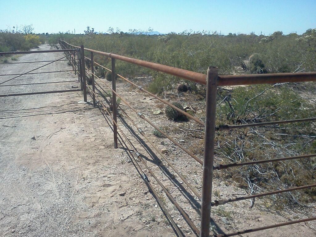 A black fence surrounds a grassy field with a barn in the background.