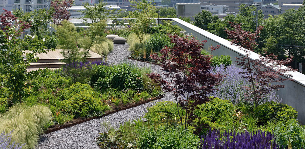 Woman wearing sun hat relaxing in a bright blue swimming pool, arms resting on the edge.