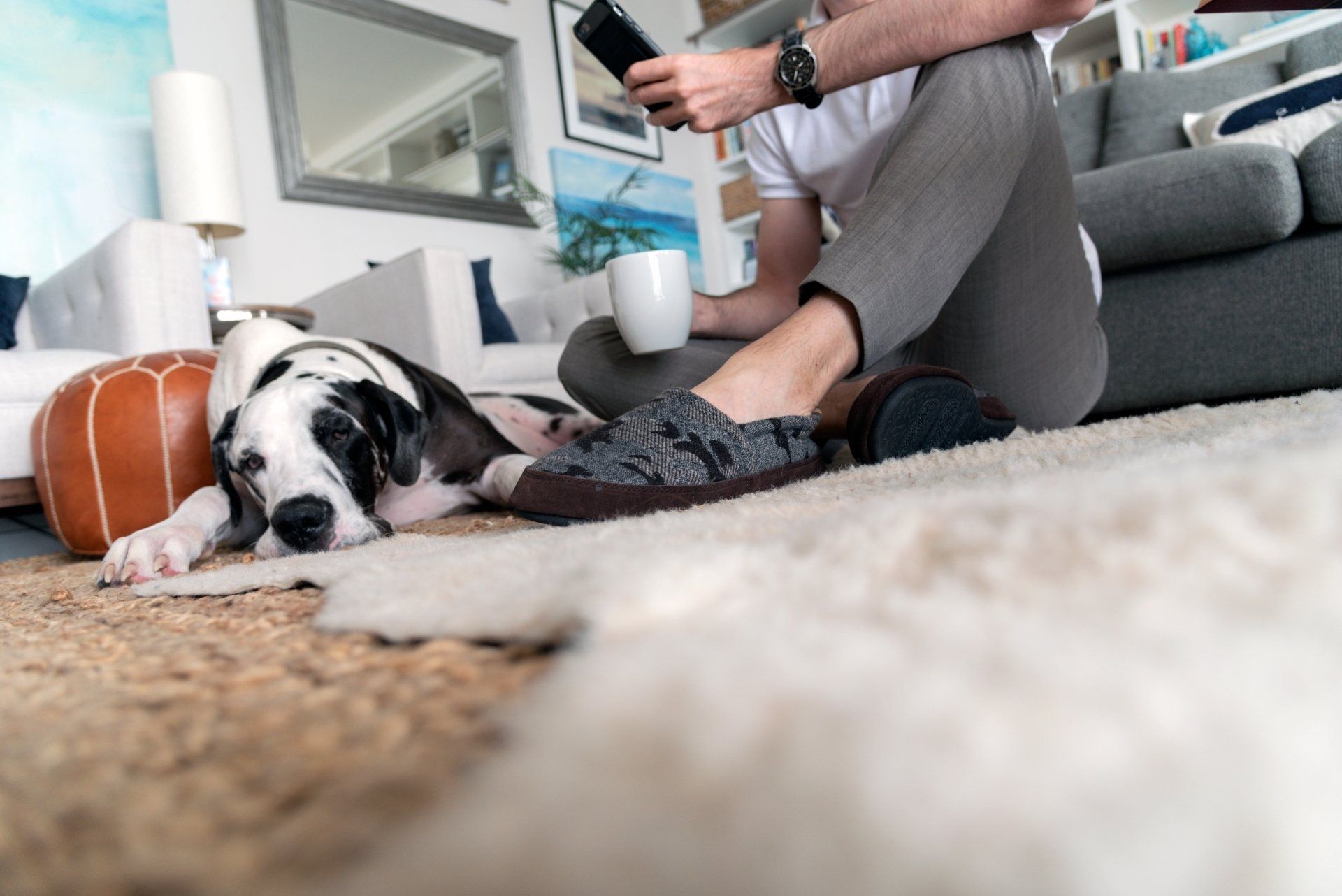 Man sitting on floor with phone and coffee, dog lying nearby. Modern living room setting.
