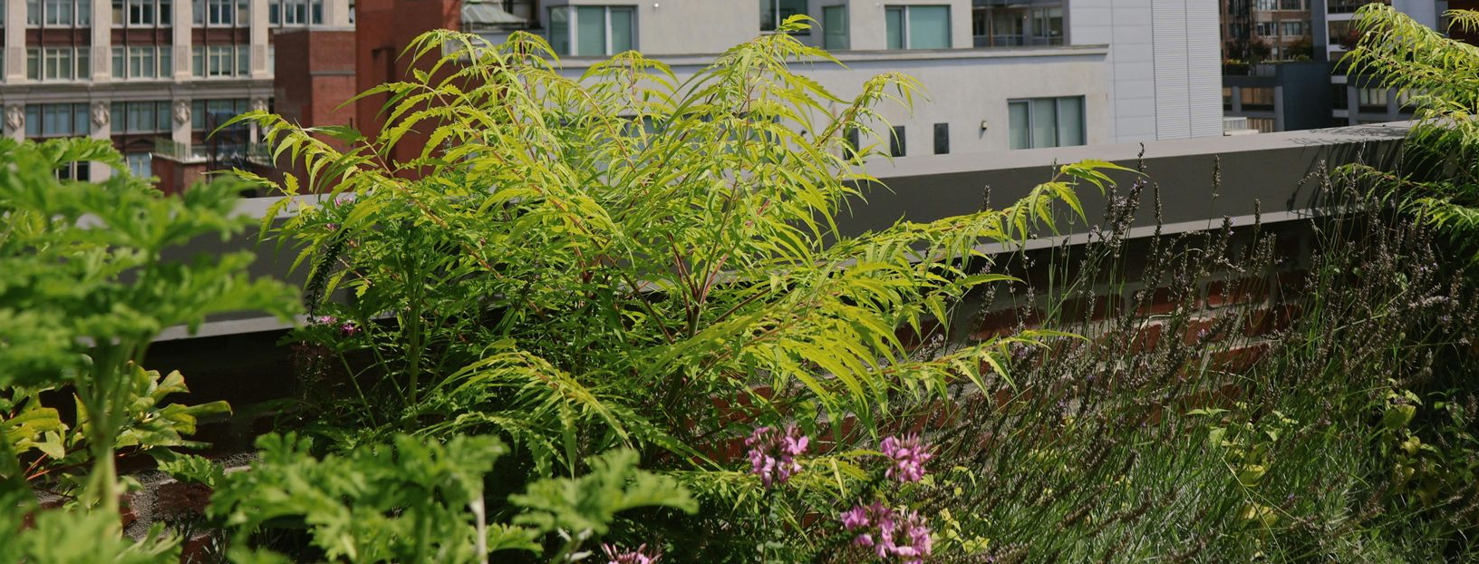 Woman wearing sun hat relaxing in a bright blue swimming pool, arms resting on the edge.