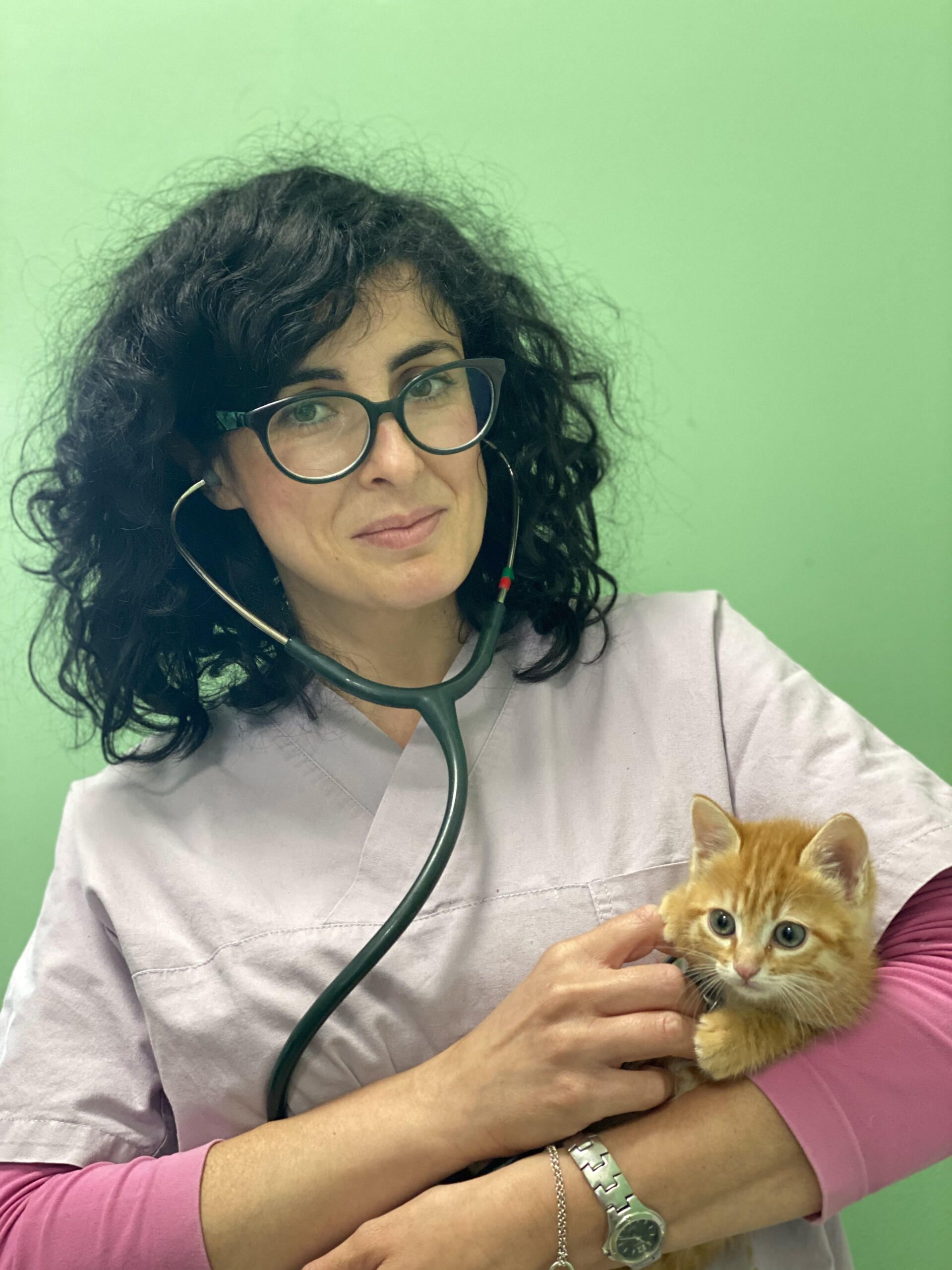 veterinari associati srls dott nusca dott ssa peci