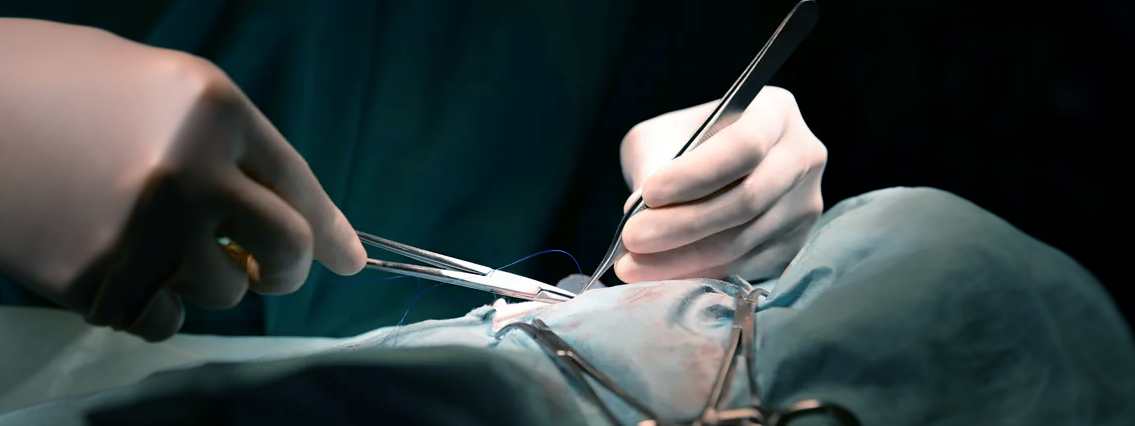 Chirurgia generale, ortopedica e specialistica veterinaria