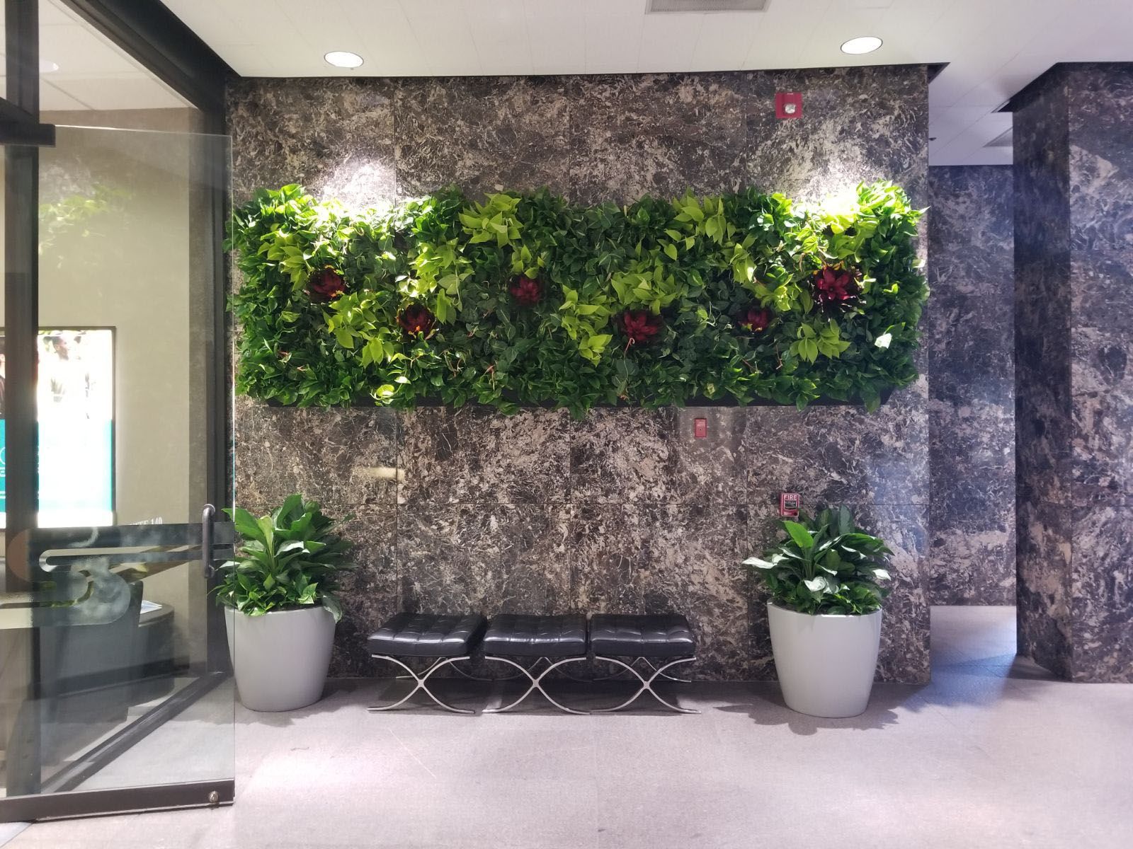 Green moss wall installation in a room with white and dark walls.