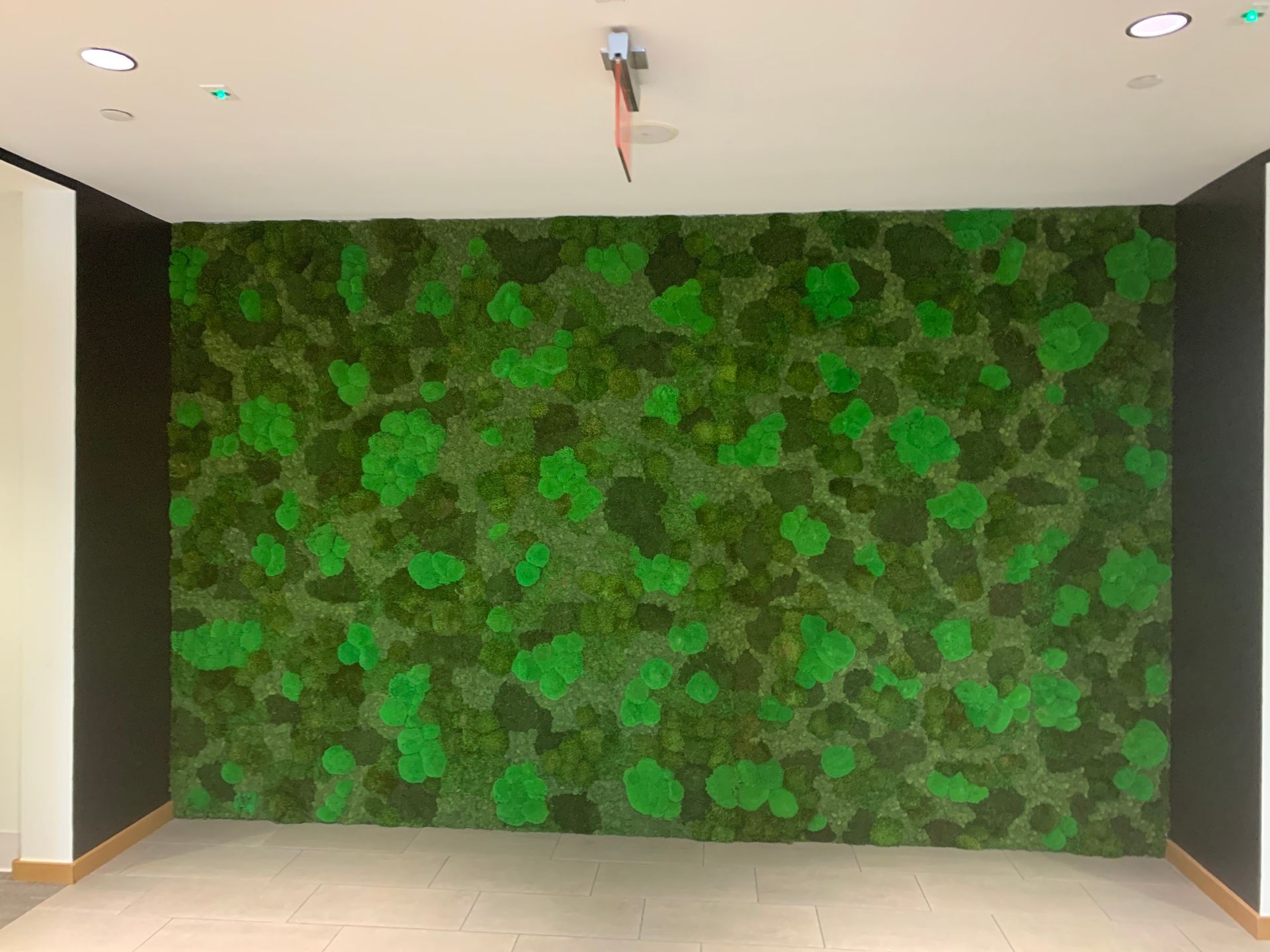 Green moss wall installation in a room with white and dark walls.