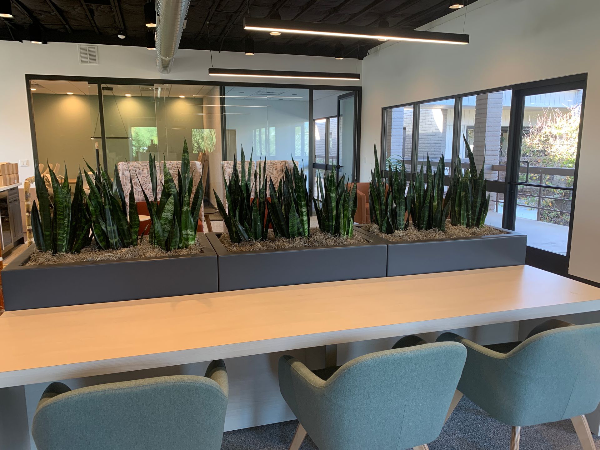 Office cubicles with wood paneling, black chairs, and plants. White cabinets and a poster are in the background.
