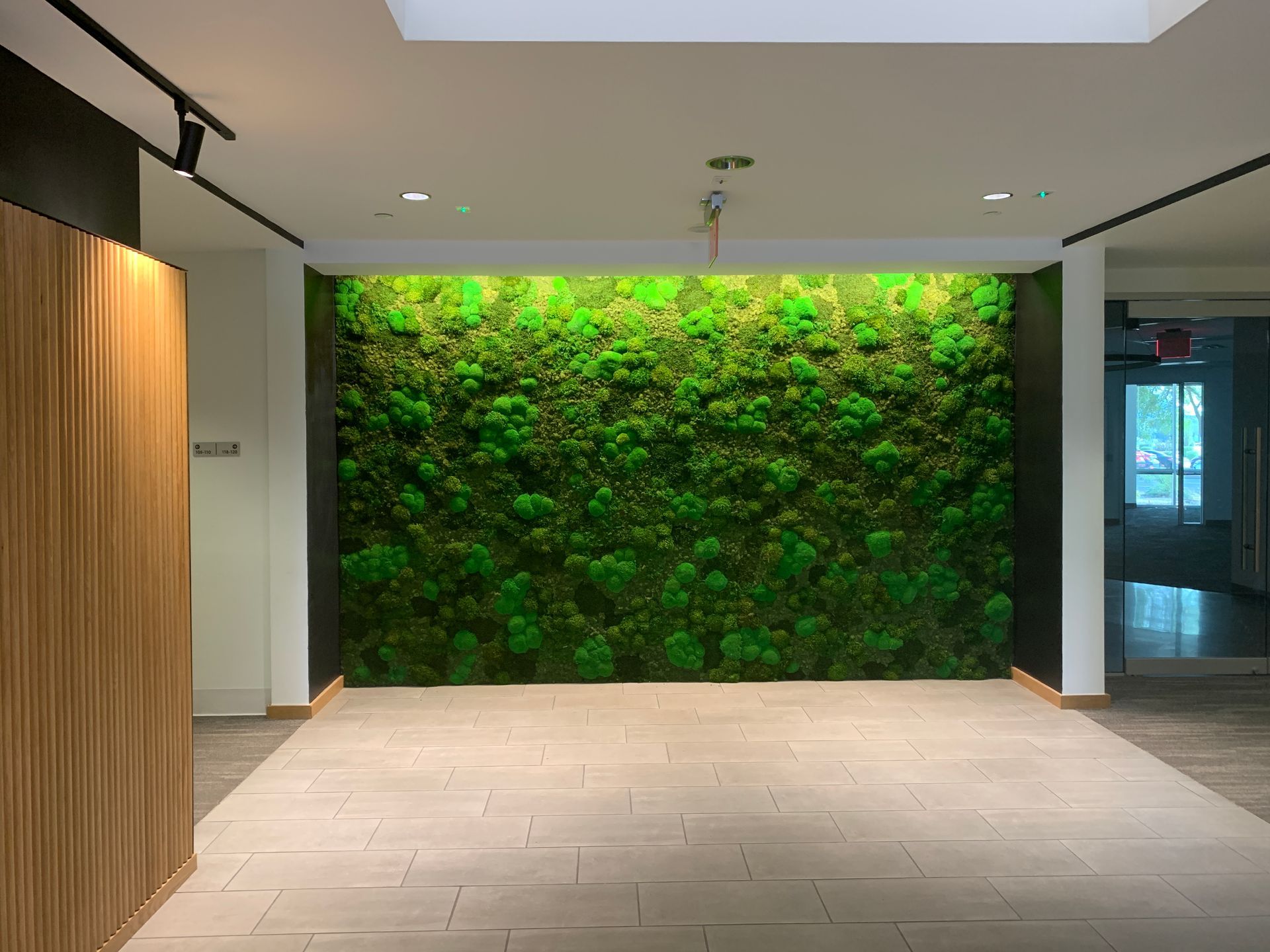 Modern office with desks, chairs, and monitors; plants, natural light, and neutral tones.