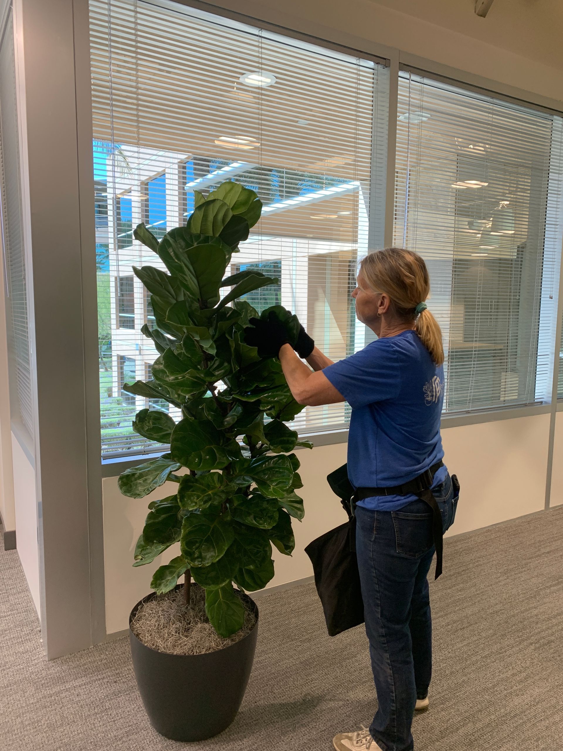Living wall of green plants with red accents against a white wall in a cafe setting.