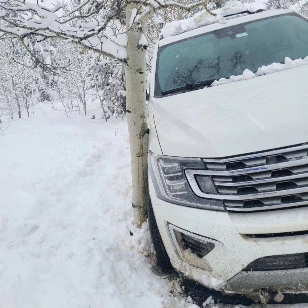 A white SUV is pressed against the trunk of an aspen tree in a snow-covered forest setting.