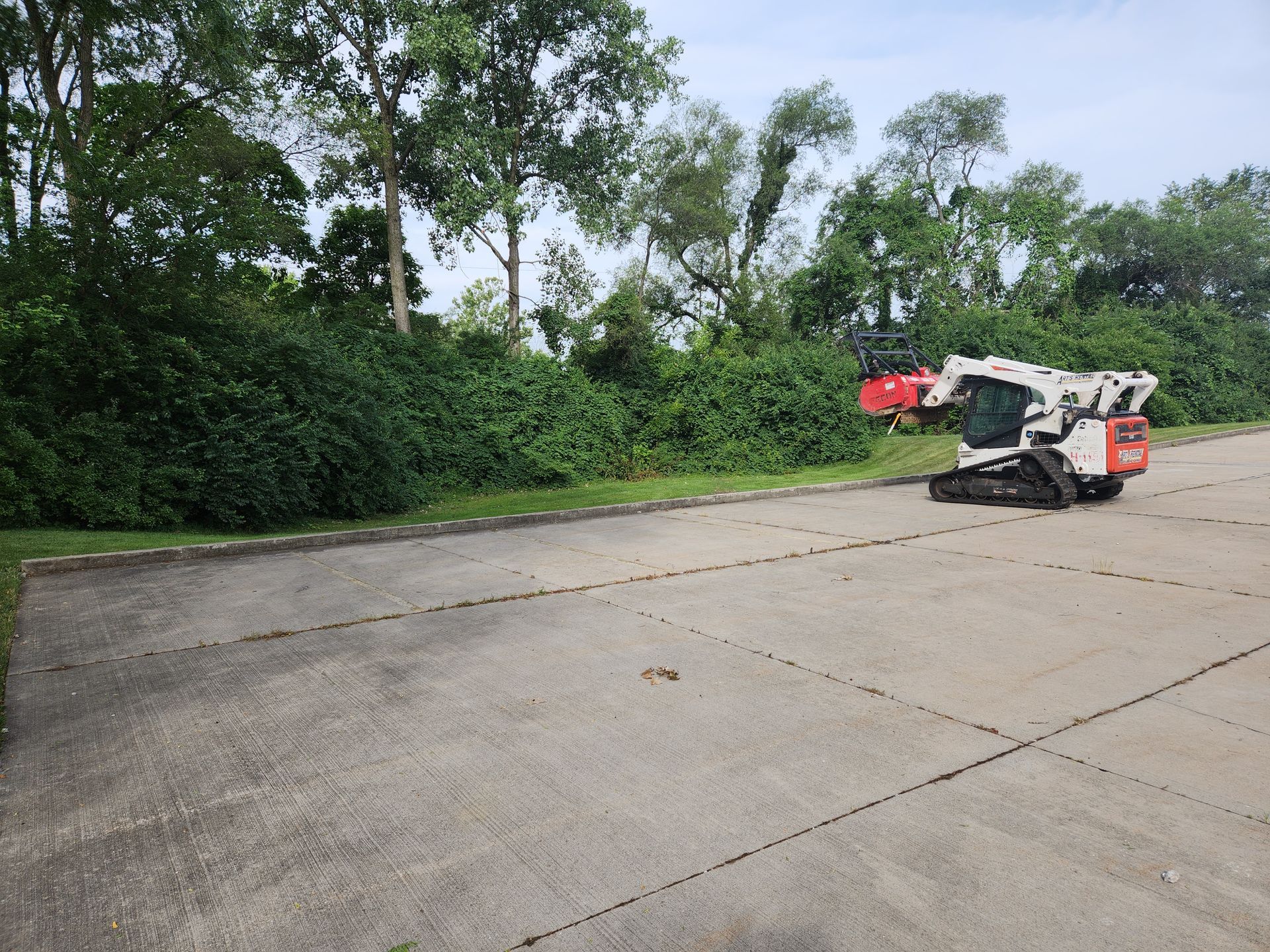 A white skid-steer loader with a red mulcher attachment clearing thick brush along the edge of a concrete parking lot.