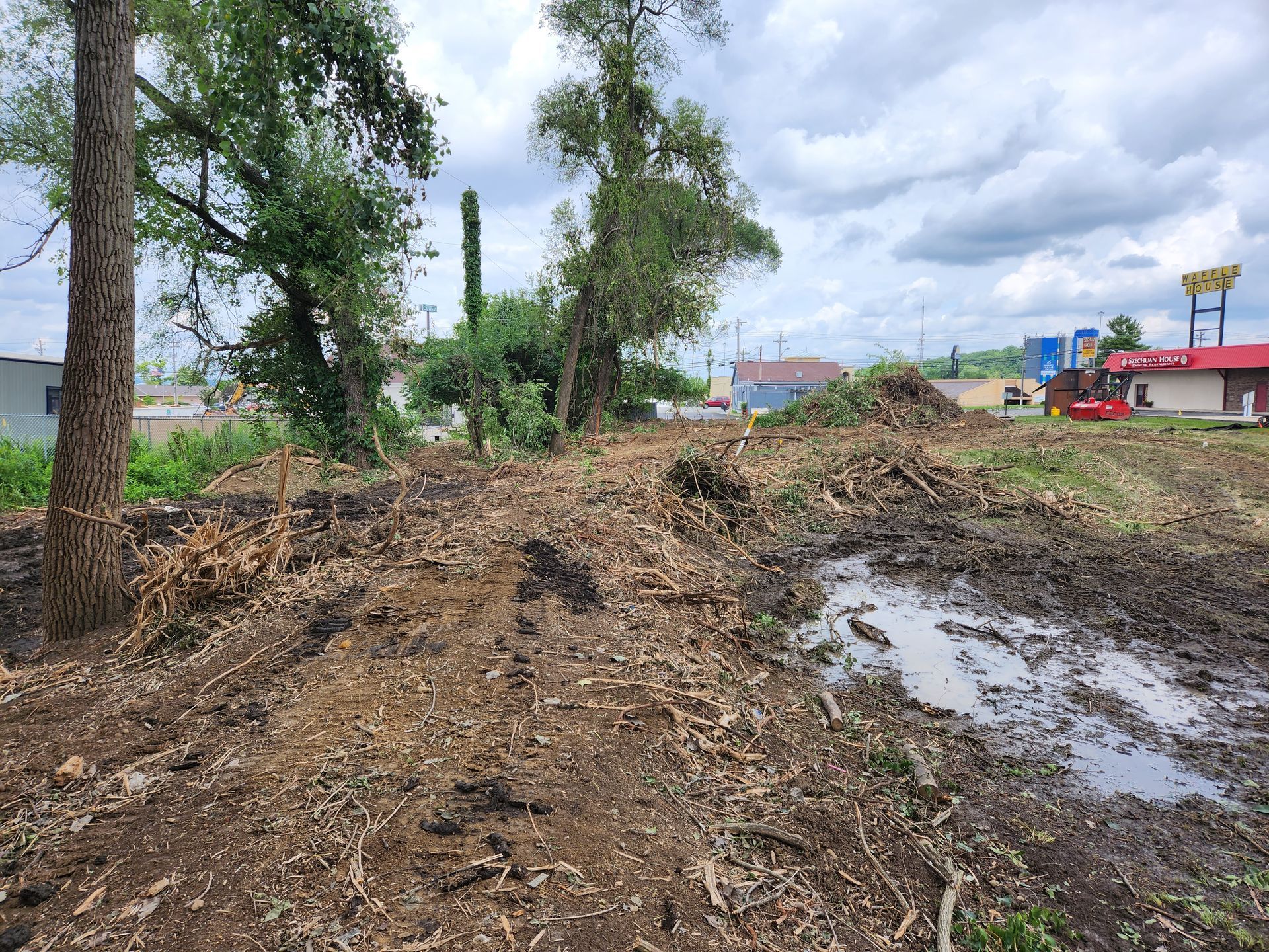 An open, cleared lot with wood chips on the ground, a muddy puddle, some remaining trees, and commercial buildings nearby.