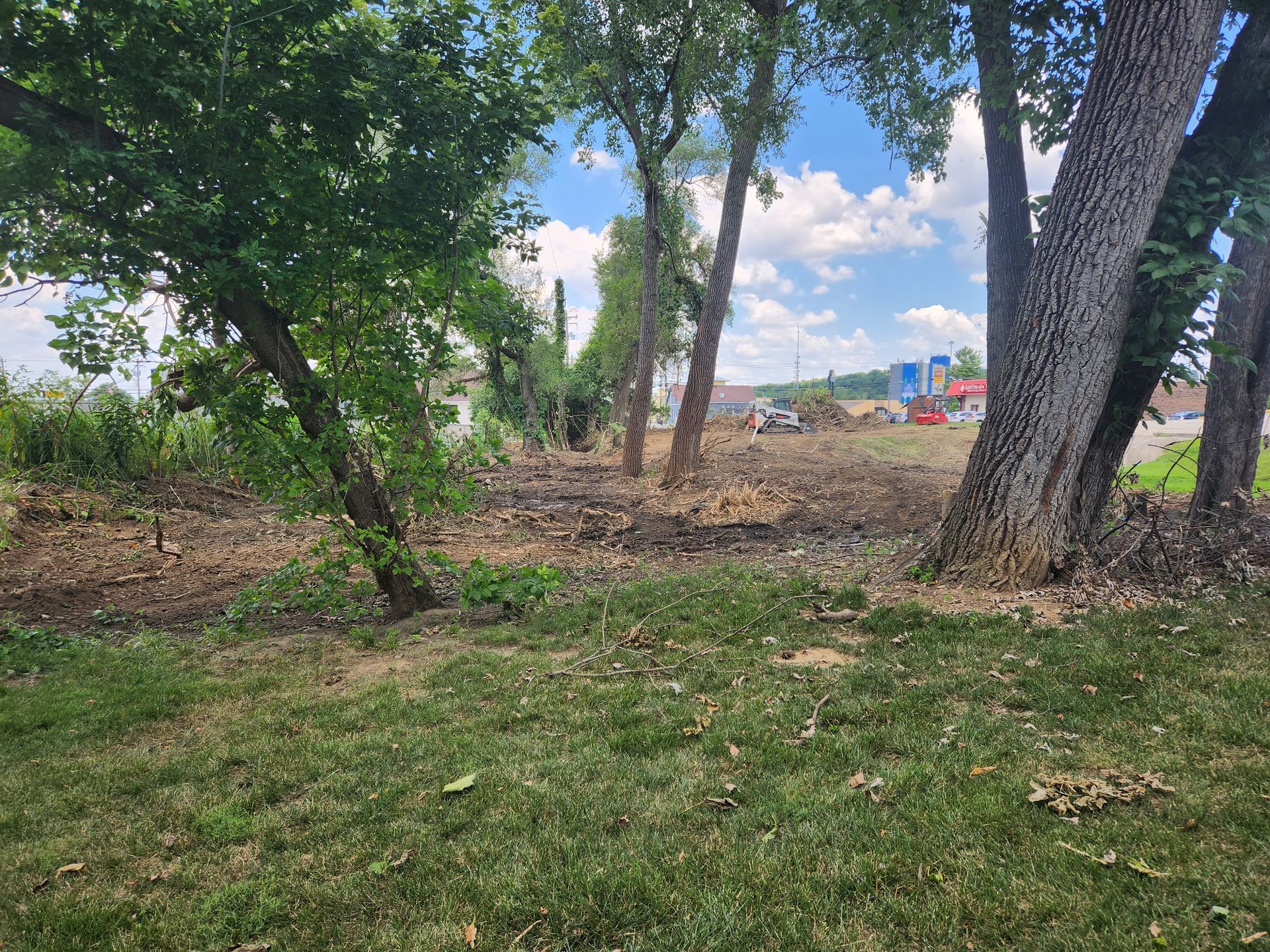A grassy yard leads to a wooded area with trees and cleared ground, with a parking lot visible in the background.