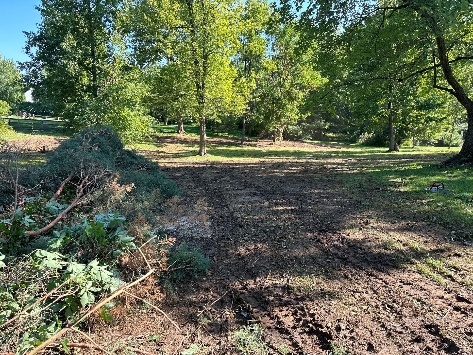 A muddy path cleared through a grassy, wooded area with a pile of pruned branches on the left under bright sunlight.