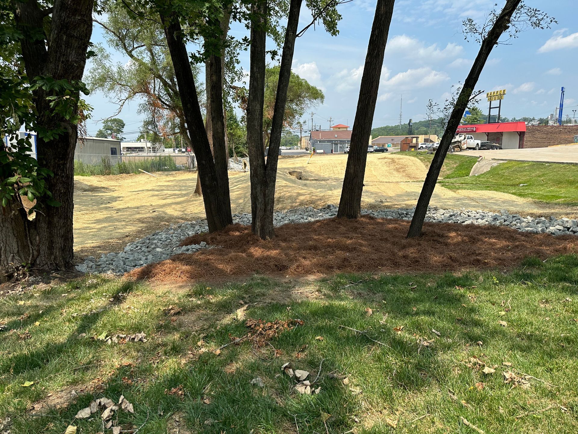 A cluster of trees stands in a grassy area with a mulch bed, bordered by stones and a leveled, dirt construction site.