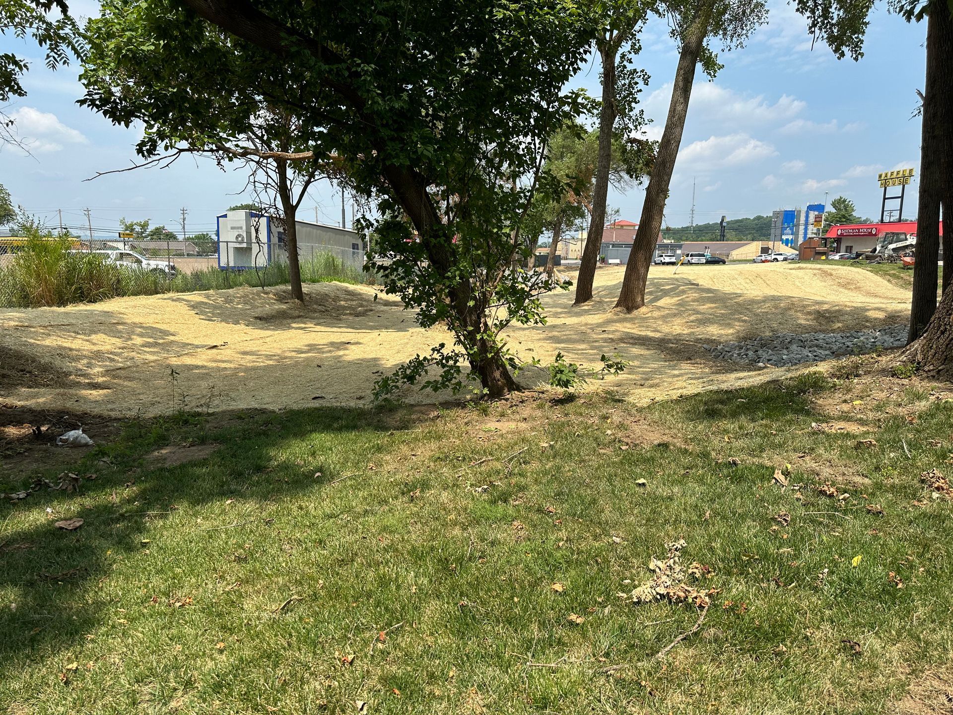 A grassy foreground leading to an open area covered in light-colored mulch or sand, with trees and a distant parking lot.