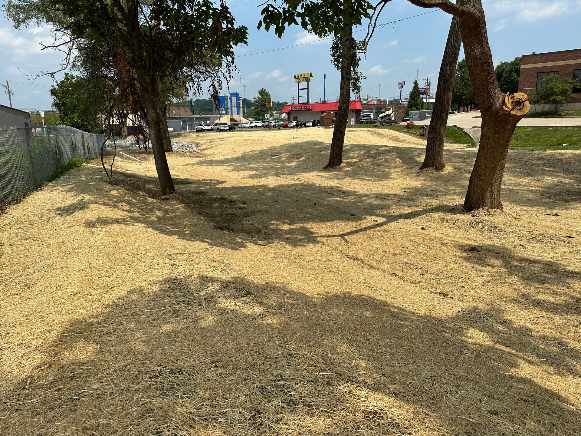 A patch of dirt and sparse grass covered in light-colored wood mulch, surrounded by trees and a chain-link fence.