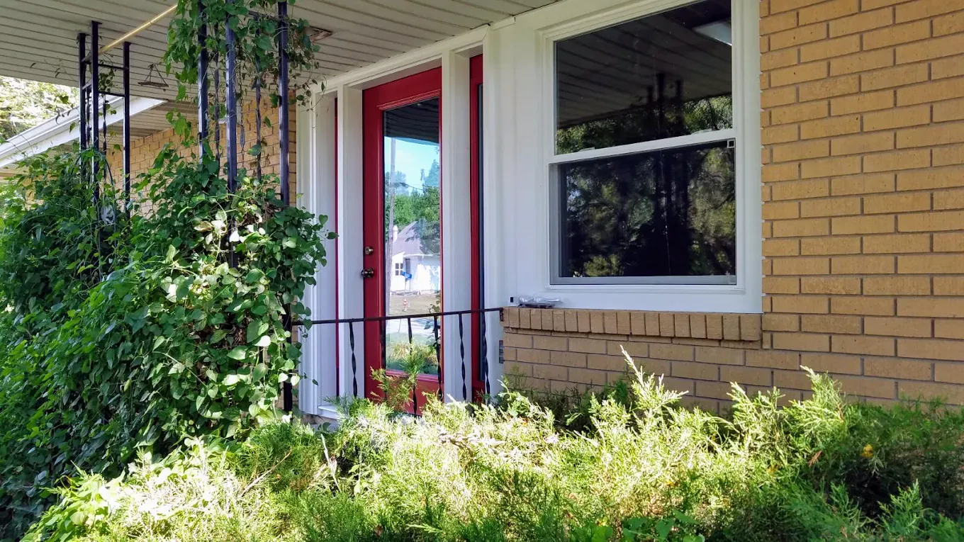 Red door and white-framed window on a brick house, partially obscured by greenery.