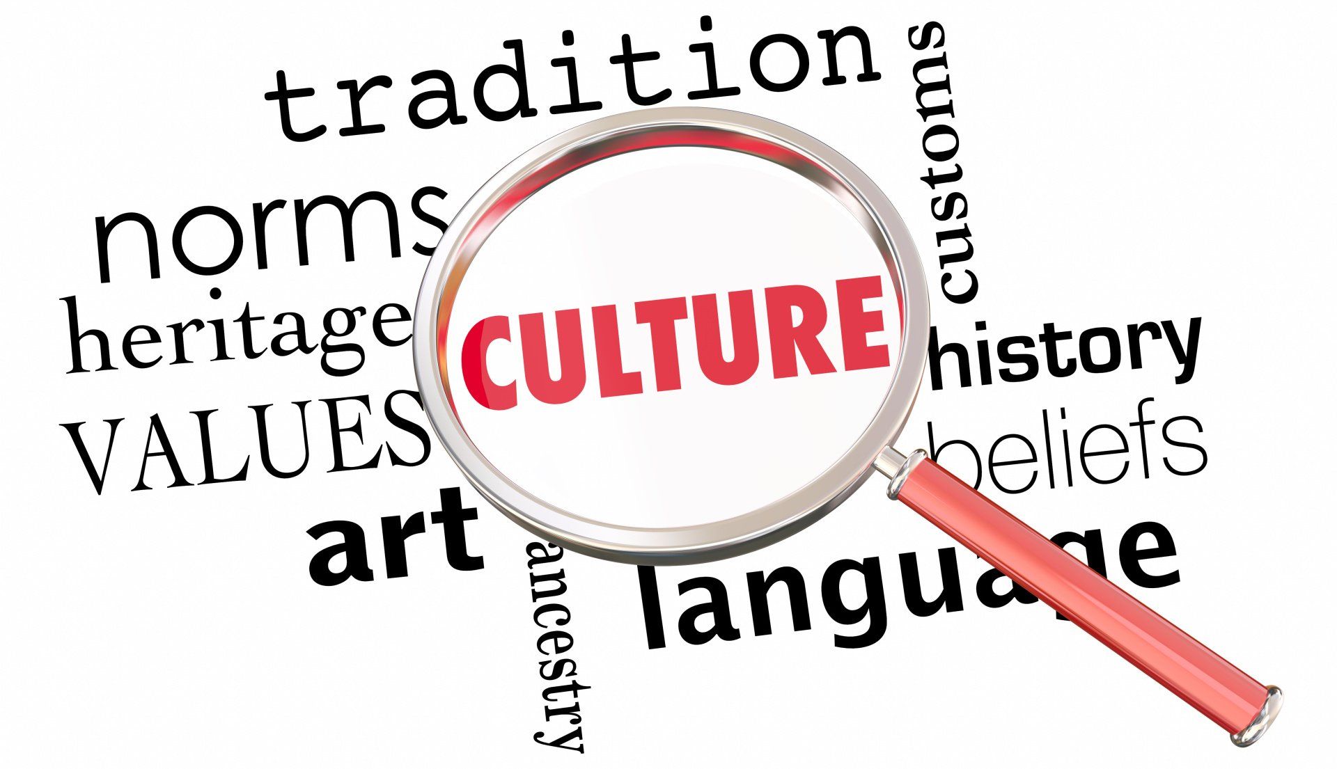 Components of culture