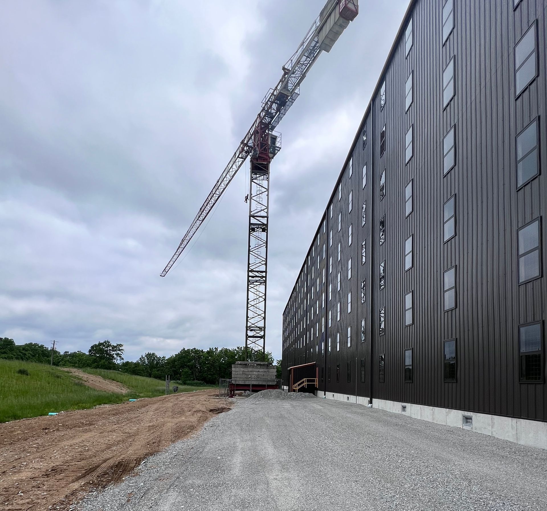 A small dog is standing in front of a building under construction.
