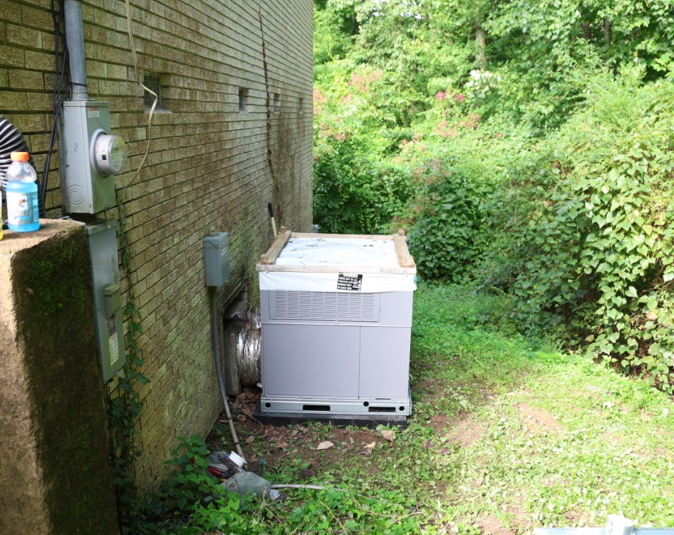 Generator next to a brick building and overgrown bushes. A utility meter is on the wall.