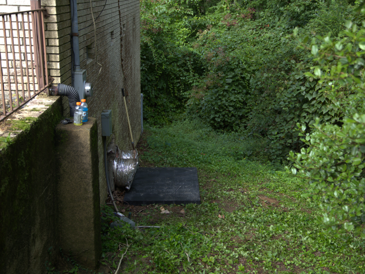 Exterior of a building with overgrown grass and bushes. HVAC unit visible.