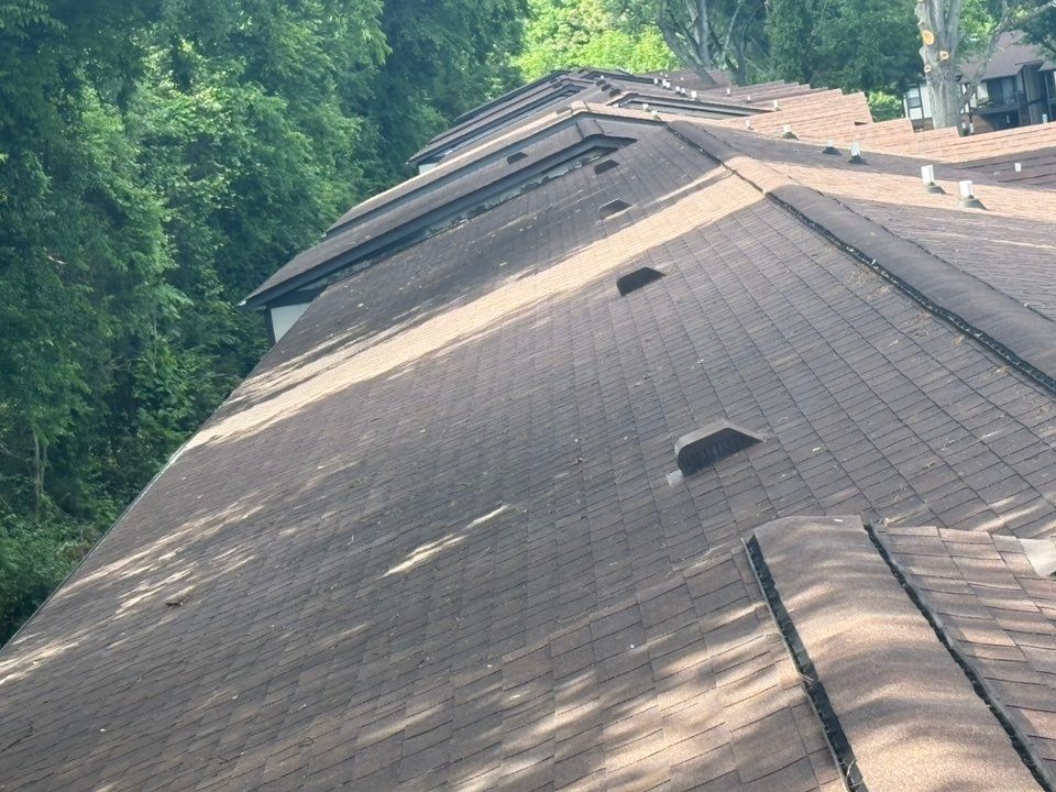 A close up of a roof with trees in the background