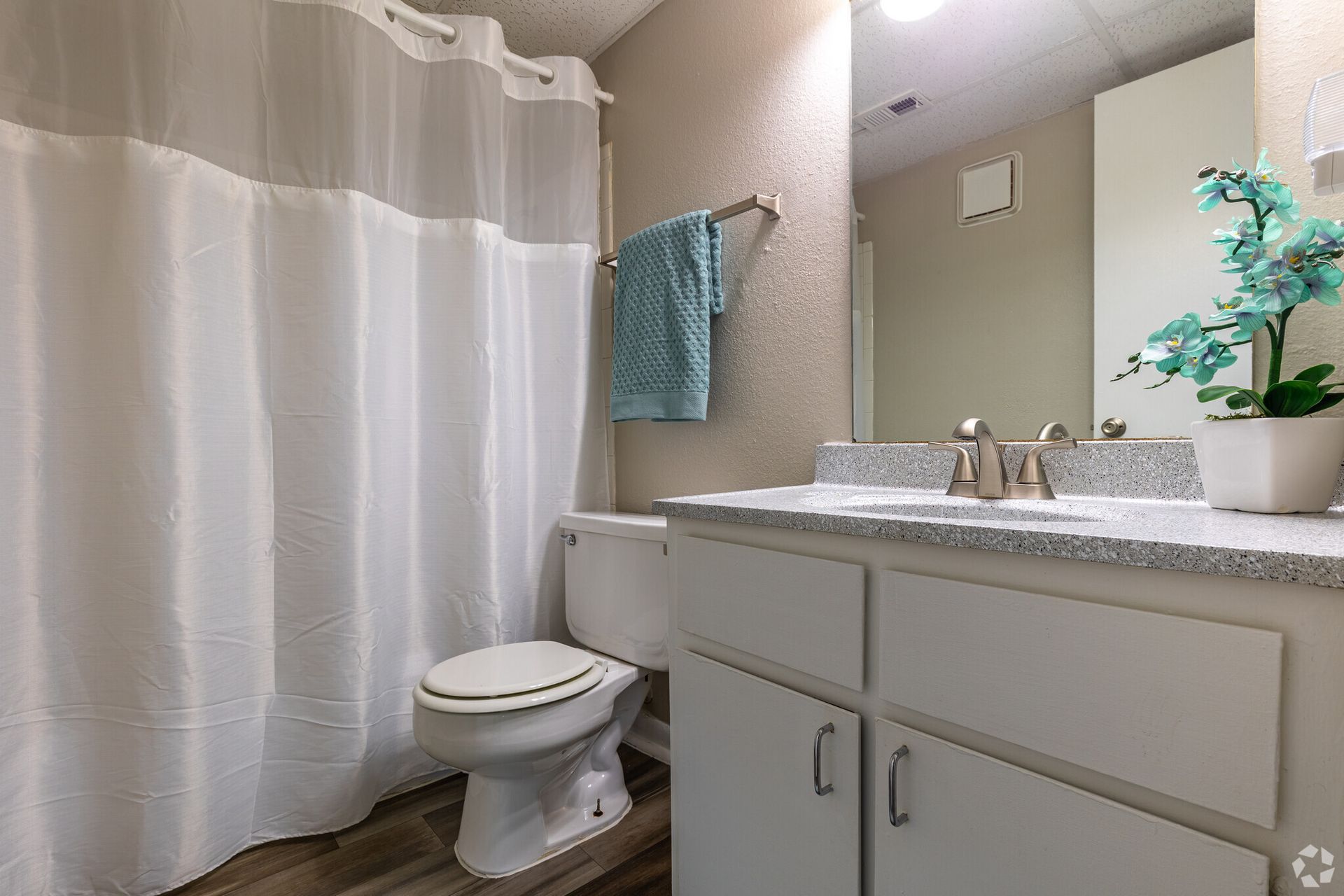A bathroom with a toilet , sink , and shower curtain.
