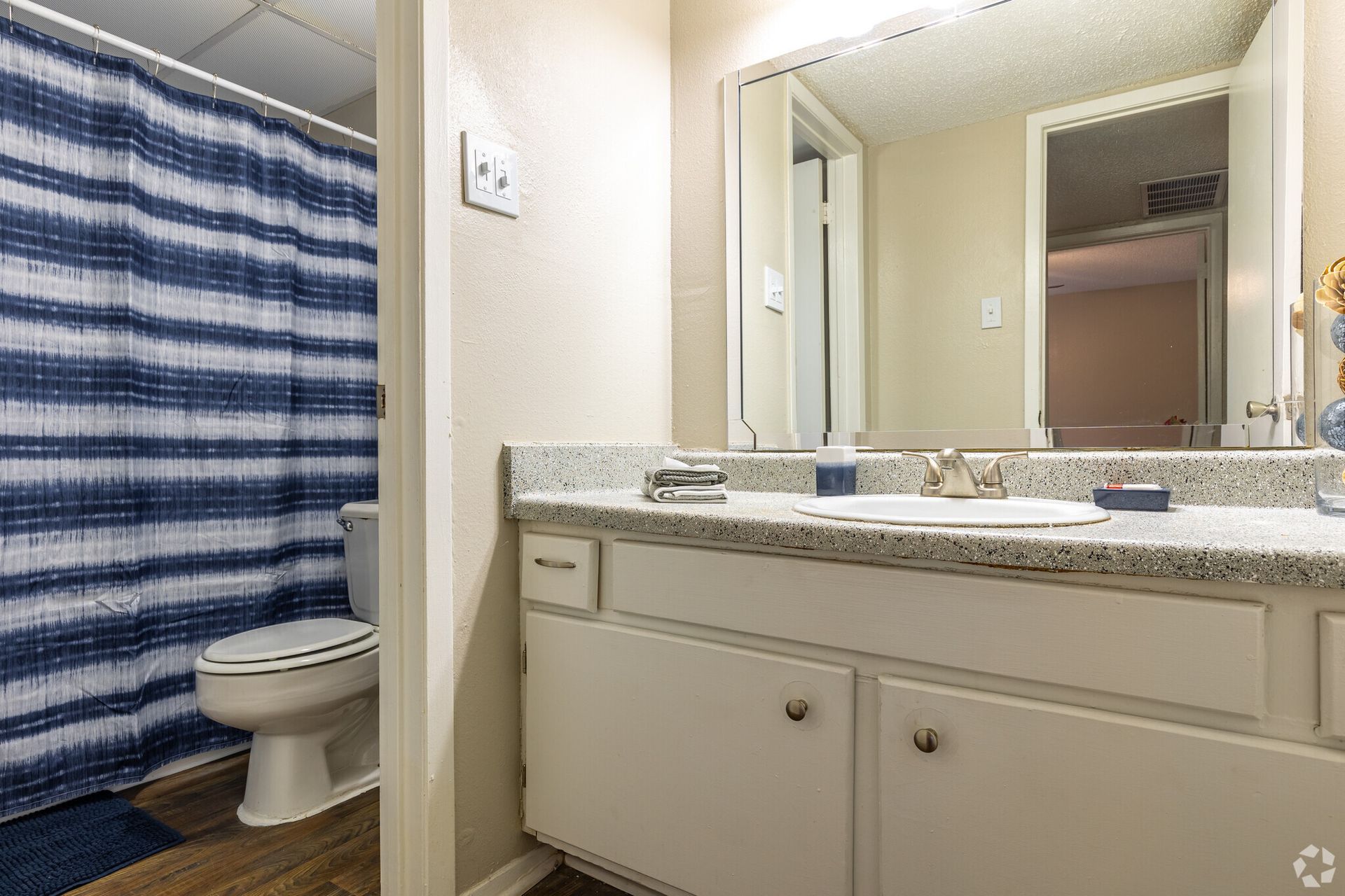 A bathroom with a sink , toilet and shower curtain.