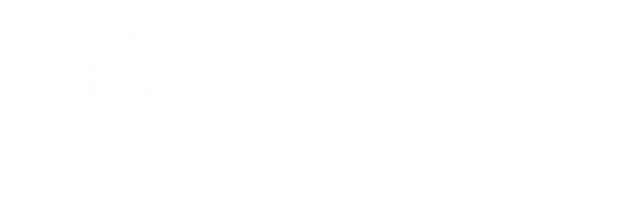 Oxford Academy Logo