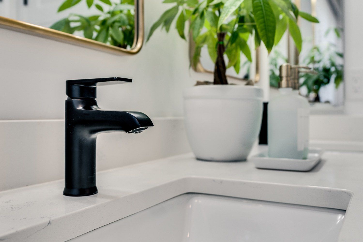 A bathroom sink with a black faucet and a potted plant.