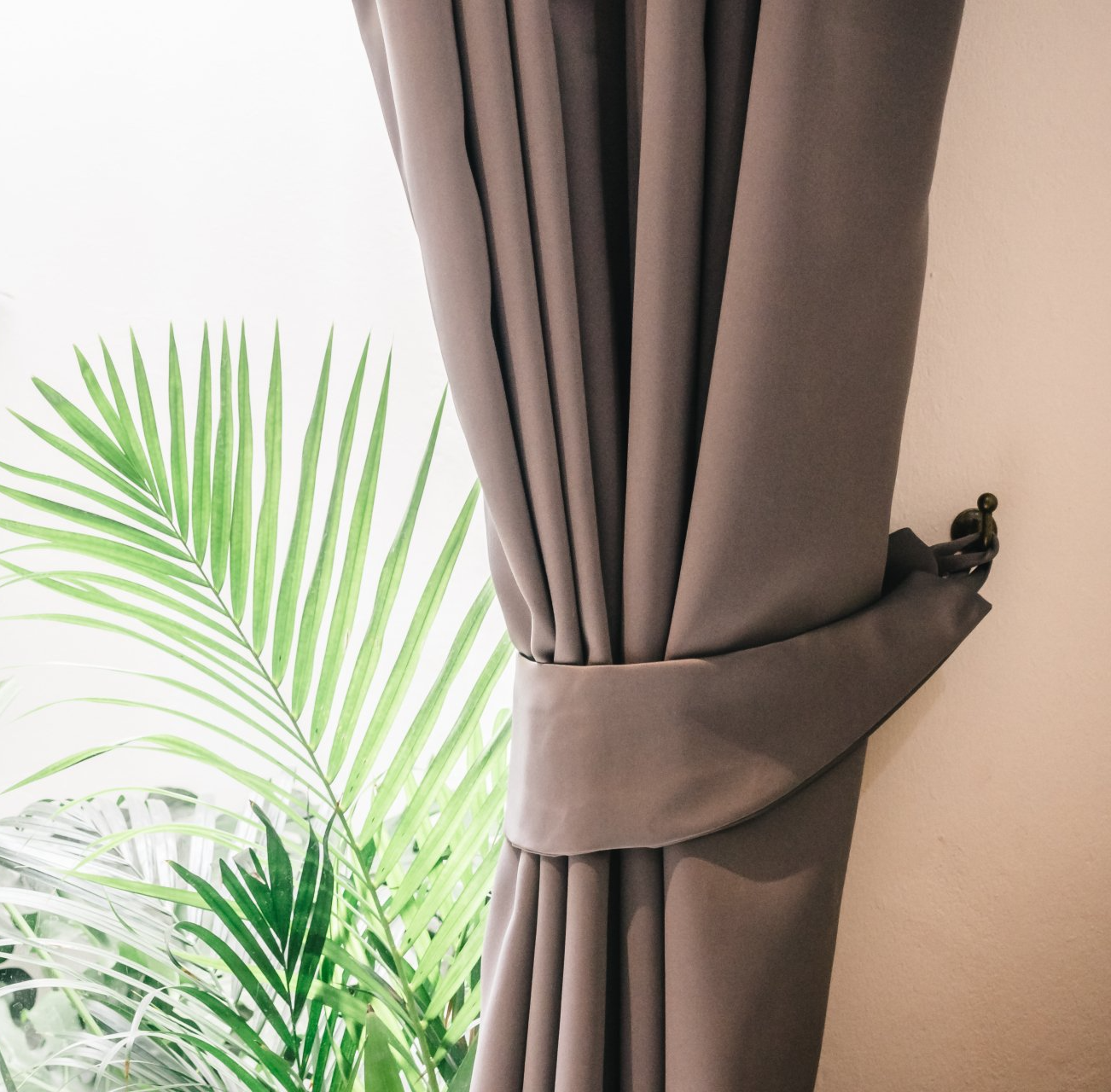 Close up of tied back formal curtain, with view of green fern out the window.