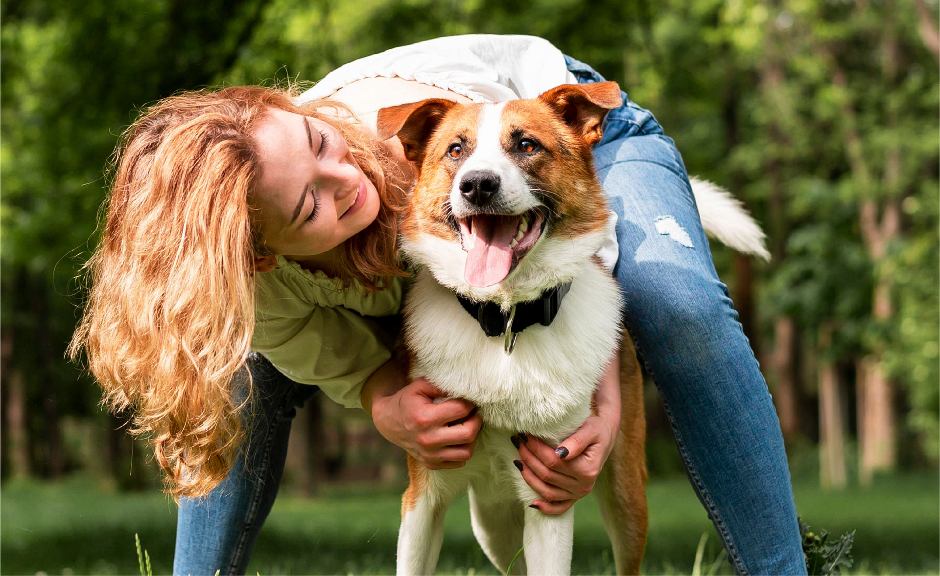 Una mujer abraza a un perro marrón y blanco en un parque.
