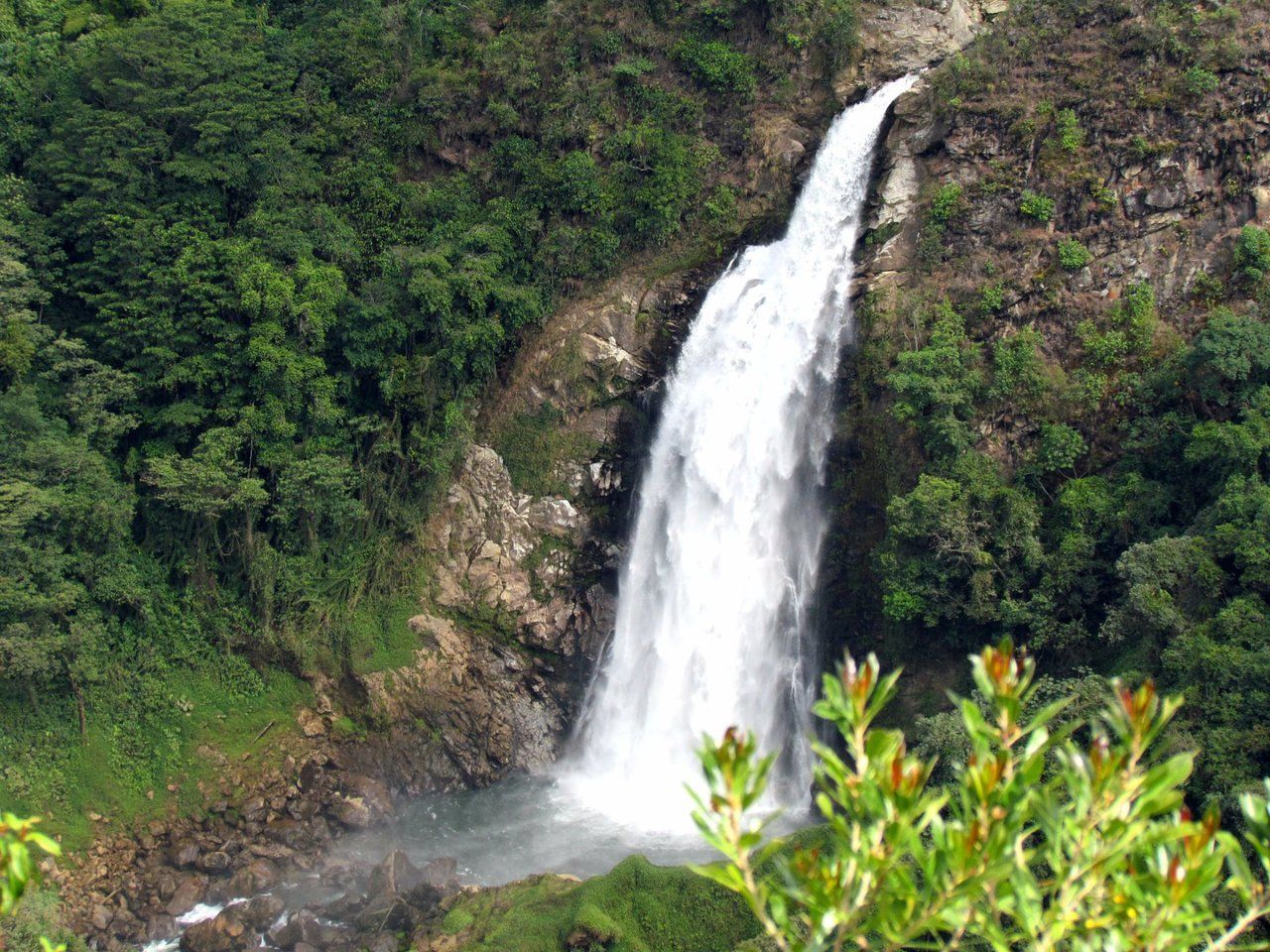 Una cascada está rodeada de árboles y rocas en la ceja antioquia