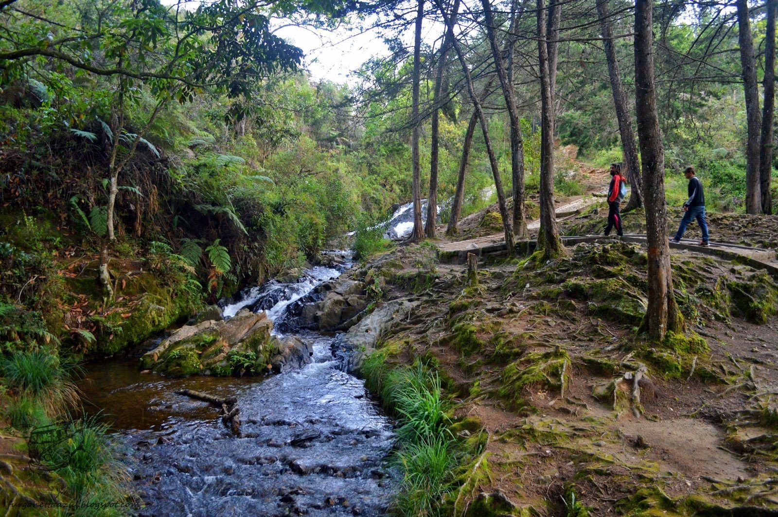 Dos personas caminan por un sendero al lado de un río en santa helena antioquia