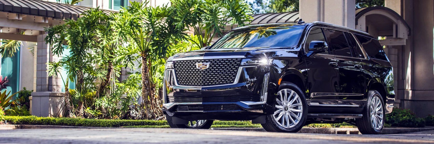 Limo rental company in Los Angeles